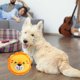 thumbnail image 5 of Active Moving Pet Plush Toy, Interactive Dog Toy, Talking Movable Dog Toy, Electronic Dog Toy, Bounce Boredom Toy For Cats And Dogs, 5 of 5