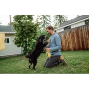 Sawyer Products SP624 Permethrin, Permethrin for Dogs Insect Repellent Treatment, Trigger Spray, 24-Ounce