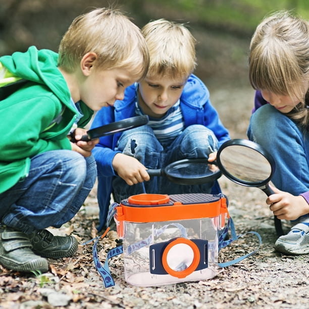 LUFEIS Caja Con Lupa Para Insectos – Set De Exploración Con 4 Frascos, 2 Lupas De Aumento 3x Y 5x, Pinzas Y Herramientas Para Niños, Ideal Para Ciencia Y Naturaleza