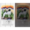 thumbnail image 2 of Caroline's Treasures SS8224CNL Rat Terrier Ceramic Night Light, 6x4x3", multicolor, 2 of 2
