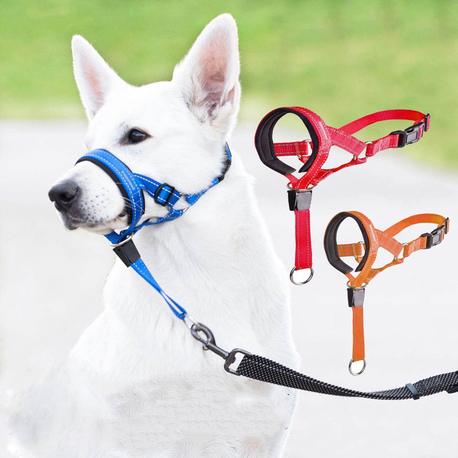 3 dog retractable leash sales