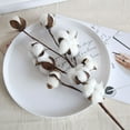 thumbnail image 5 of 1-3Pc Naturally Dried Cotton Stems Farmhouse Artificial Flower Filler Floral Decor, 5 of 5
