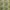 Light Green, variant on oneOone Polyester Spandex Black Fabric Tropical Leaf With Texture Fabric For Sewing Printed Craft Fabric By The Yard 56 Inch Wide