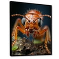 thumbnail image 2 of Designart "Delicate Explorer Ant IV" Animals Floater Framed Canvas Print, 2 of 7