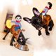 thumbnail image 3 of Disfraz para mascotas Disfraz para perro estilo caballero vaquero Conjunto para mascotas Disfraz con correa para perro (L), 3 of 5