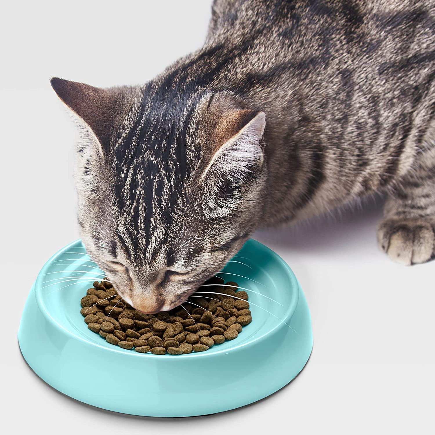 CatGuru Cat Bowls, Whisker Stress Free Cat Food Bowl, Reliefs Whisker Fatigue, Wide Cat Bowl, Non Slip Cat Food Bowls, Shallow Cat Dish, Cat Feeding & Watering Supplies (Set of 2 Bowls, Aruba)