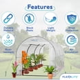 thumbnail image 3 of Plexalife Deluxe Walk-In Tunnel Greenhouse with White Cover, 3 of 7