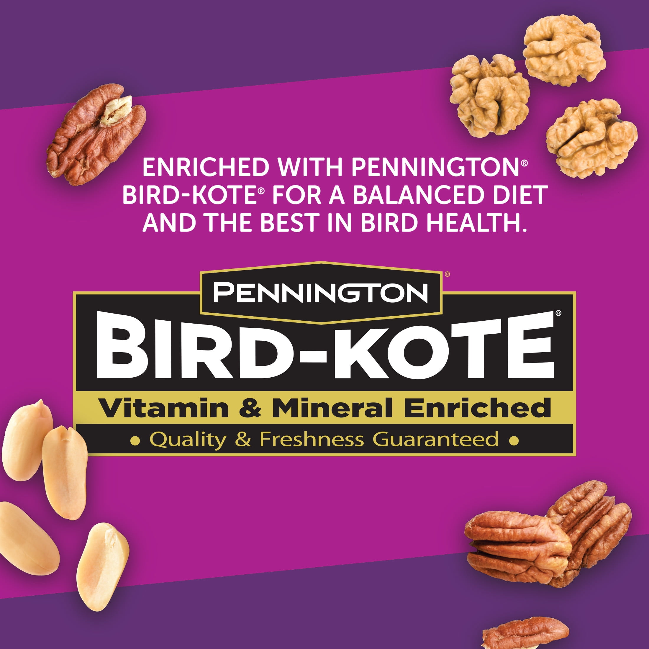 Pennington Ultra Double Nut & Fruit Blend, Wild Bird Seed and Feed, 2.5 lb. Bag, 1 Pack, Dry