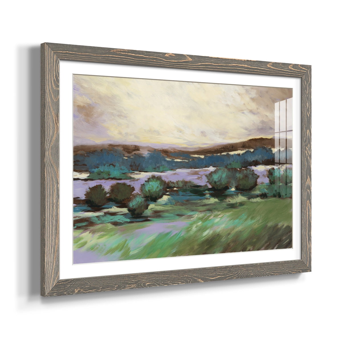 Sunny Desert Floor-Premium Framed Print - Ready to Hang
