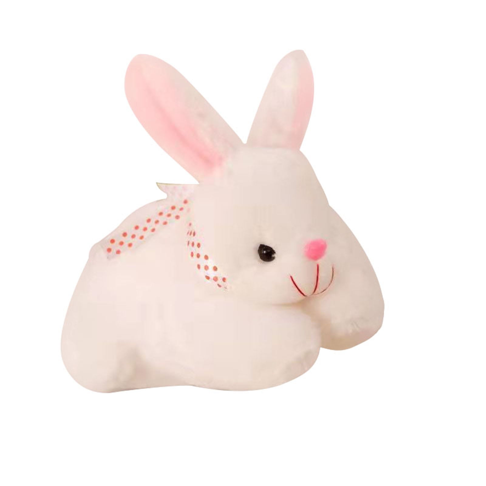 My Benjamins earrings rabbit rabbits bunny bunnies funky cute