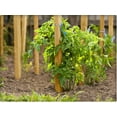 thumbnail image 2 of Greenes Fence Grade Stakes 18 in. Long (64-Pack), 2 of 5