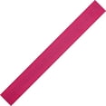 thumbnail image 1 of BlueWater Ropes 1" Tubular Climb-Spec Nylon Webbing (Raspberry, 300'), 1 of 3