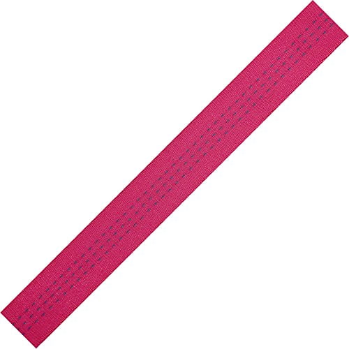 BlueWater Ropes 1" Tubular Climb-Spec Nylon Webbing (Raspberry, 300')