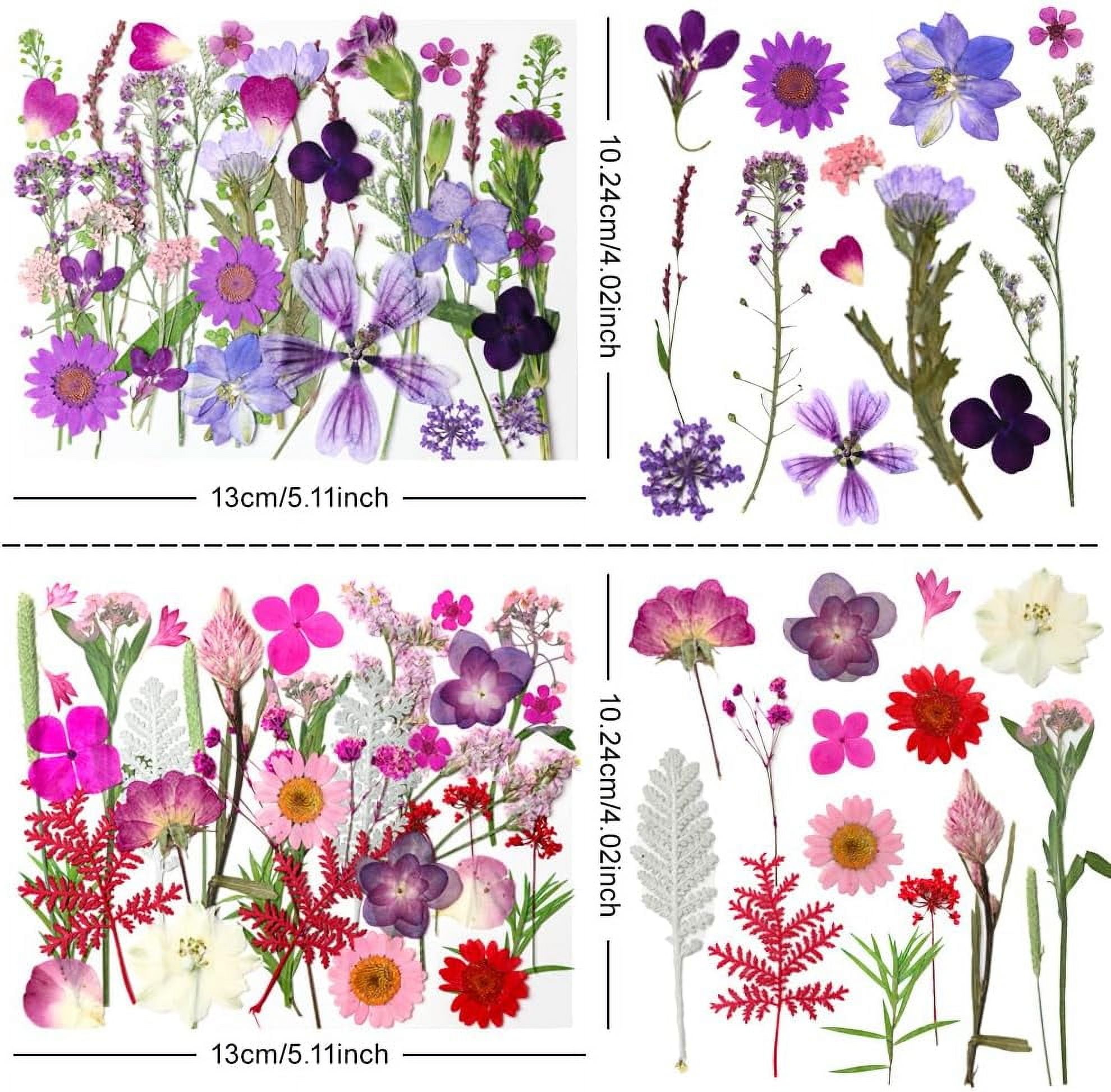 MetalM -140Pcs Dried Pressed Flowers,Natural Dried Flowers Bulk with Dried Leaves for Resin,Mixed Color Dried Flowers for DIY Crafts,Epoxy Resin,Candle Making,Jewelry,Floral DIY Art,DIY Supplies Kits