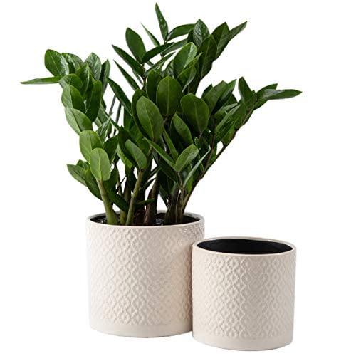 Black Brown KYY Ceramic Planters Garden Flower Pots with Drainage Hole 5.7 and 4.5 Set of 2 Indoor Outdoor Modern Plant Containers Black Brown KYY Ceramic Planters Garden Flower Pots with Drainage Hole 5.7 and 4.5 Set of 2 Indoor Outdoor Modern Plant Containers