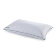Isotonic IsoCool Polyester Bed Pillow, Queen