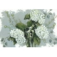thumbnail image 2 of Holden, Jennifer 18x13 Black Ornate Wood Framed with Double Matting Museum Art Print Titled - Hydrangeas in White, 2 of 4