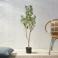 thumbnail image 3 of Atoka 4' x 1.5' Artificial Olive Tree, Green, 3 of 5