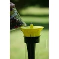 thumbnail image 4 of Brome Squirrel Solution150 Squirrel-Proof Bird Feeder, Green, 4 Perches, Free Seed Funnel, 2.6 lb Capacity, 4 of 9