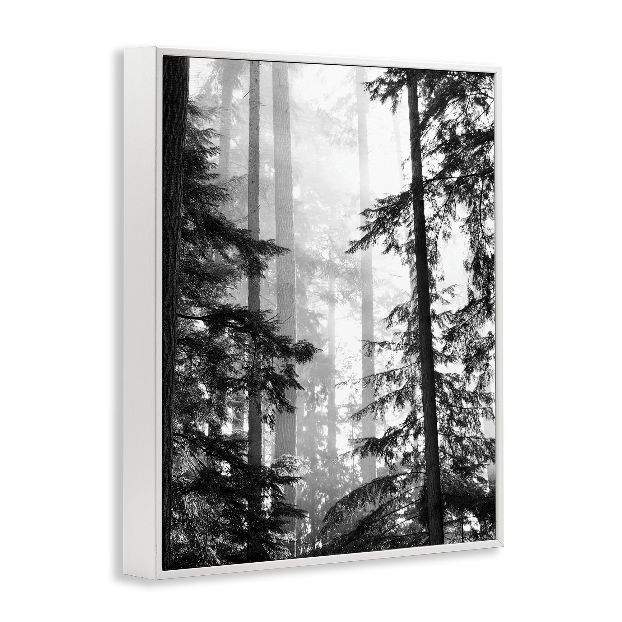 Forest Light Shining Through Tall Trees Landscape Photography White Framed Giclee Art, 11 x 14