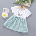 thumbnail image 2 of adviicd Dinosaur Toddler Dress Dresses Cat Cartoon Flower Girls Princess Baby Print Dress First Birthday Dress Girl, 2 of 5