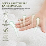 Beddle Hybrid Mattress, 10 inch Twin Size Medium Firm Pocket Spring Mattress in a Box, Motion Isolation, Edge Support, Fiberglass-Free, CertiPUR-US Certified