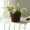 A288 summer savings clearance under 5$, variant on kkbbma under $5 Artificial Phalaenopsis Flowers Branches Real Touch Orchids Flowers for Home Office Wedding Decoration