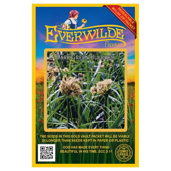 Everwilde Farms - 2000 Dark-Green Bulrush Native Grass Seeds - Gold Vault Seed Packet