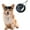 Black, variant on Minzimin Dog Bucket Hats, Dog Round Cap with Ear Hole, Adjustable Outdoor Travel Sun Protection Sport Hat for Cat Small Medium Dogs