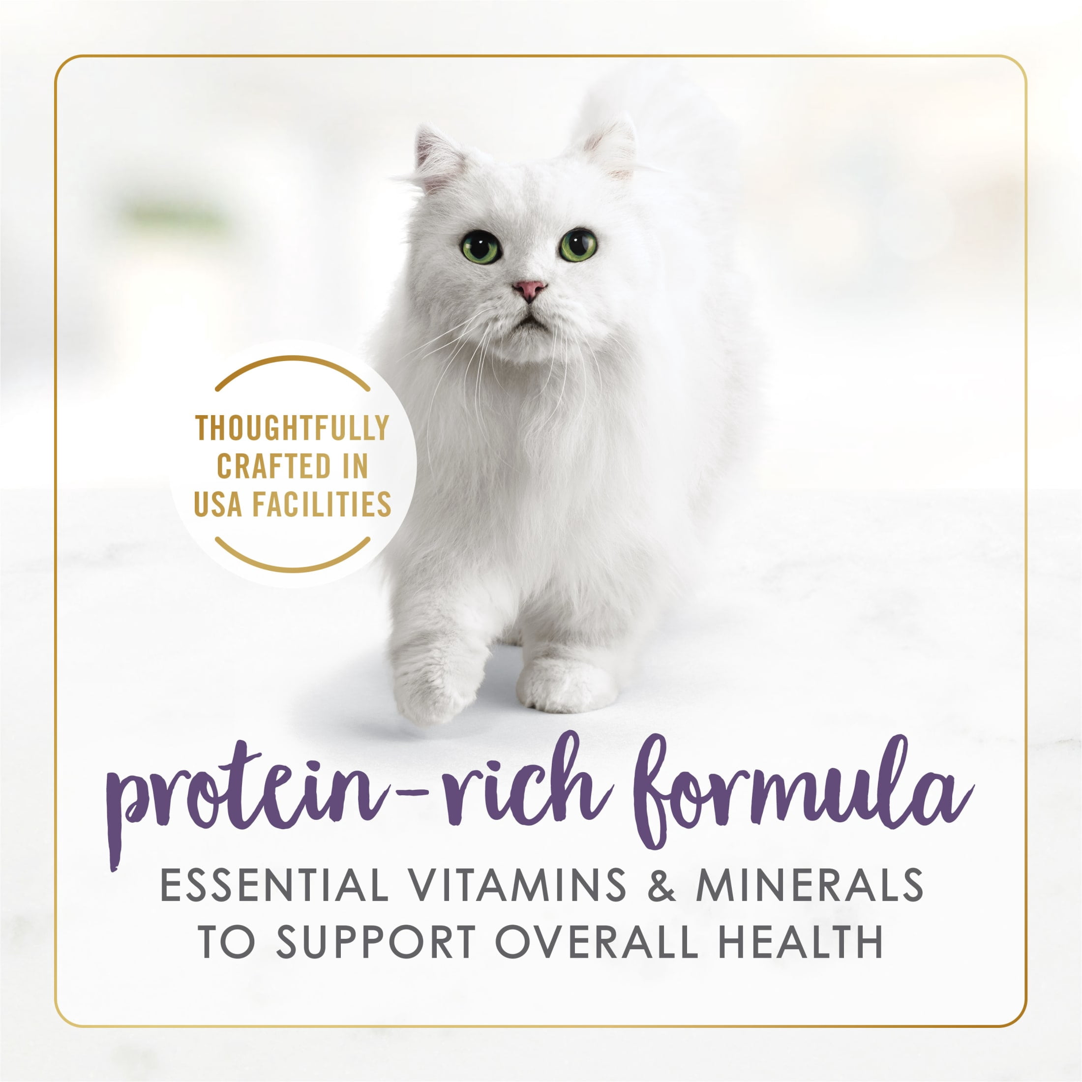 (24 pack) Purina Fancy Feast Grilled Kitten Food, Wet Cat Food, Beef Feast in Gravy, 3 oz Can