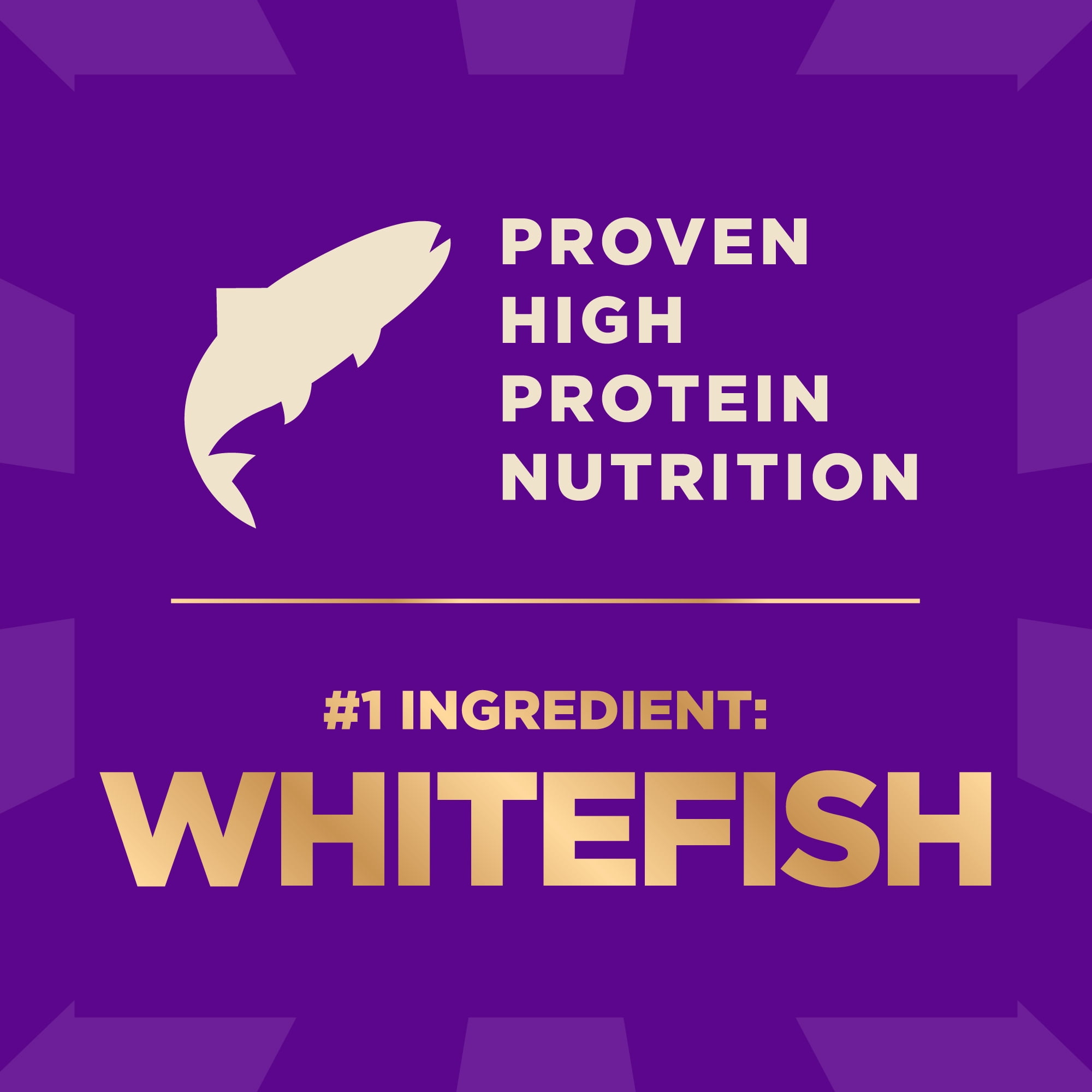 Wellness CORE+ Adult Dry Dog Food with Freeze Dried Pieces, Grain Free Kibble+, Natural, High Protein, Chicken Free, Whitefish, Herring, and Salmon Recipe, 10 lb Bag