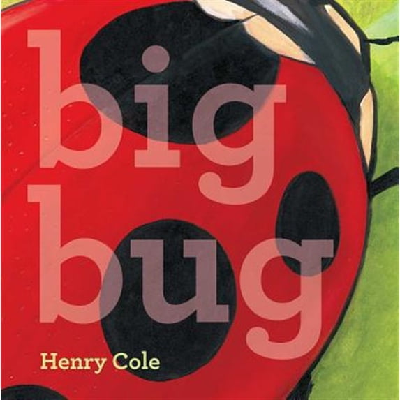 Pre-Owned Big Bug (Hardcover)