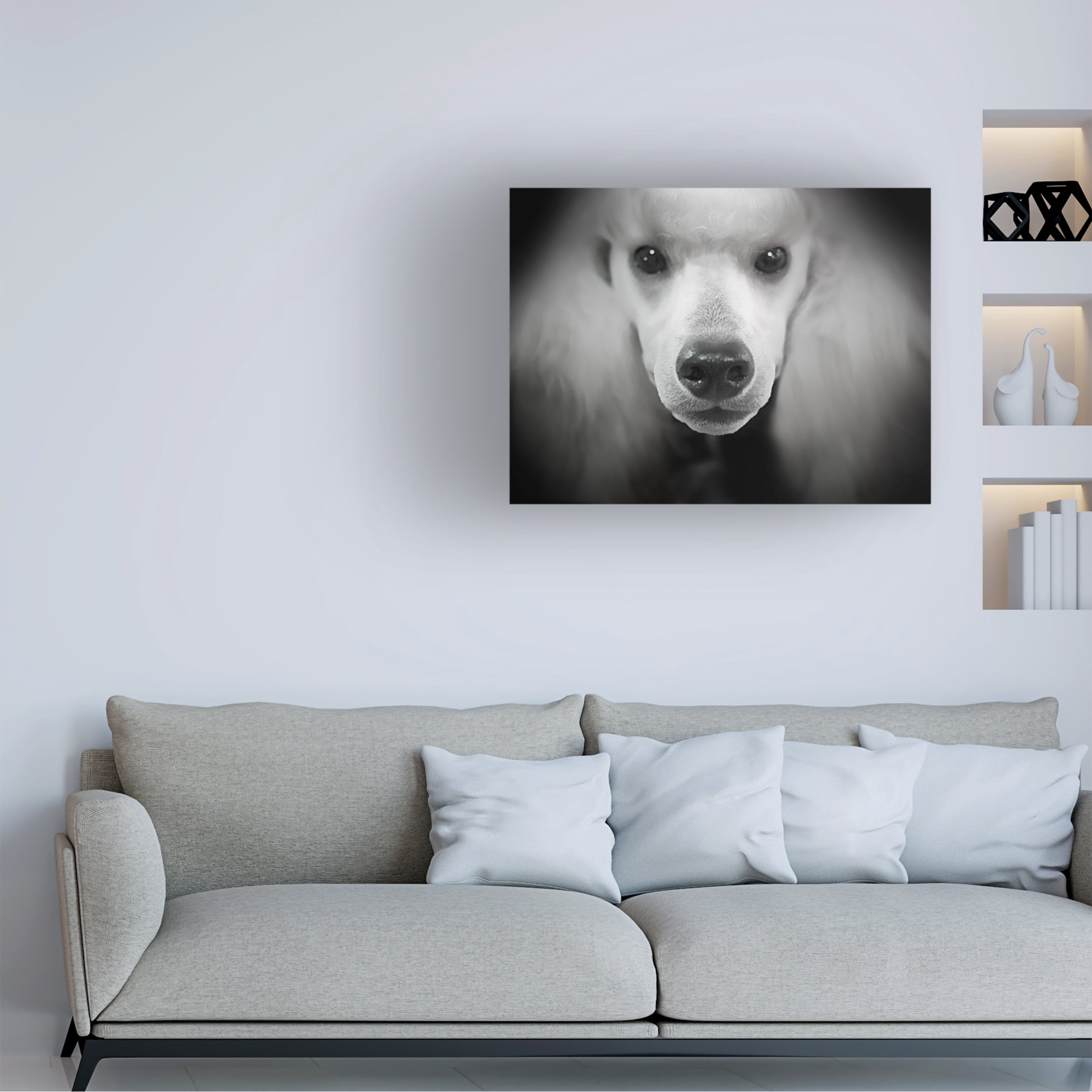 Trademark Fine Art 'Standard Poodle' Canvas Art by Lori Hutchison