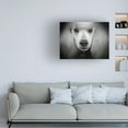 thumbnail image 2 of Trademark Fine Art 'Standard Poodle' Canvas Art by Lori Hutchison, 2 of 4