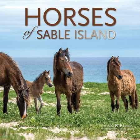 2019 Horses of Sable Island Wall Calendar,  by Wyman (Best Horse Calmer 2019)