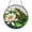 Acrylic 3.5 Inch, variant on Botanical Frog Decorative Window Hanging – Stained Glass Style