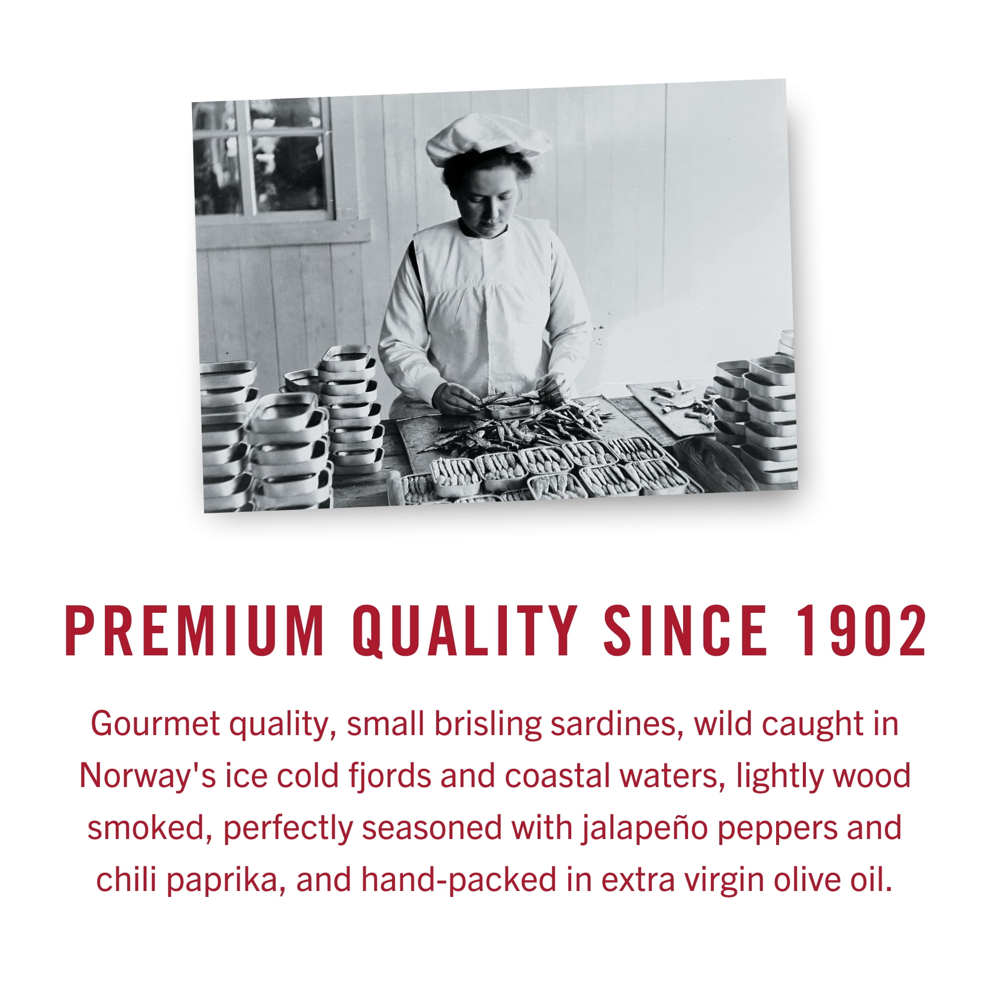 King Oscar Wild Caught Brisling Sardines in Extra Virgin Olive with Hot Jalapeño Peppers 3.75 oz