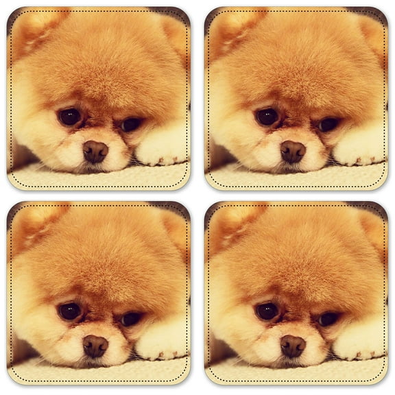 Vinyl Drink Coasters - Set of 4 - Pouting Puppy