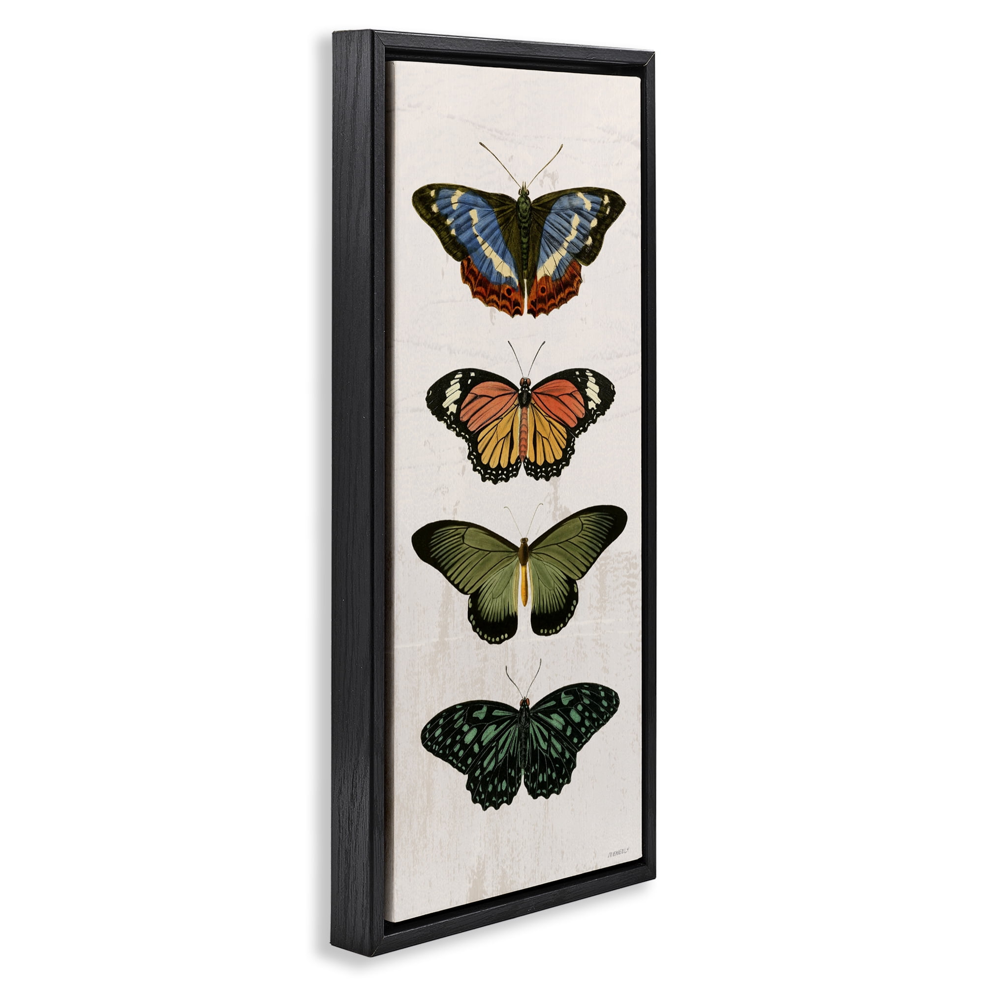 Stupell Industries Butterfly Lineup Vintage Black Framed Floater Canvas Wall Art, design by Dan Meneely