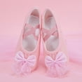 thumbnail image 4 of LEKWK Girls Glitter Ballet Shoes Cute Bow Tulle Cross Elastic Strap Dance Shoes Toddler Soft Flat Ballet Slippers Training Gymnastics Stage Dance Footwear, 4 of 9