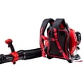 thumbnail image 3 of Craftsman 7014551 220 mph 600 CFM Gas Backpack Leaf Blower, 3 of 7