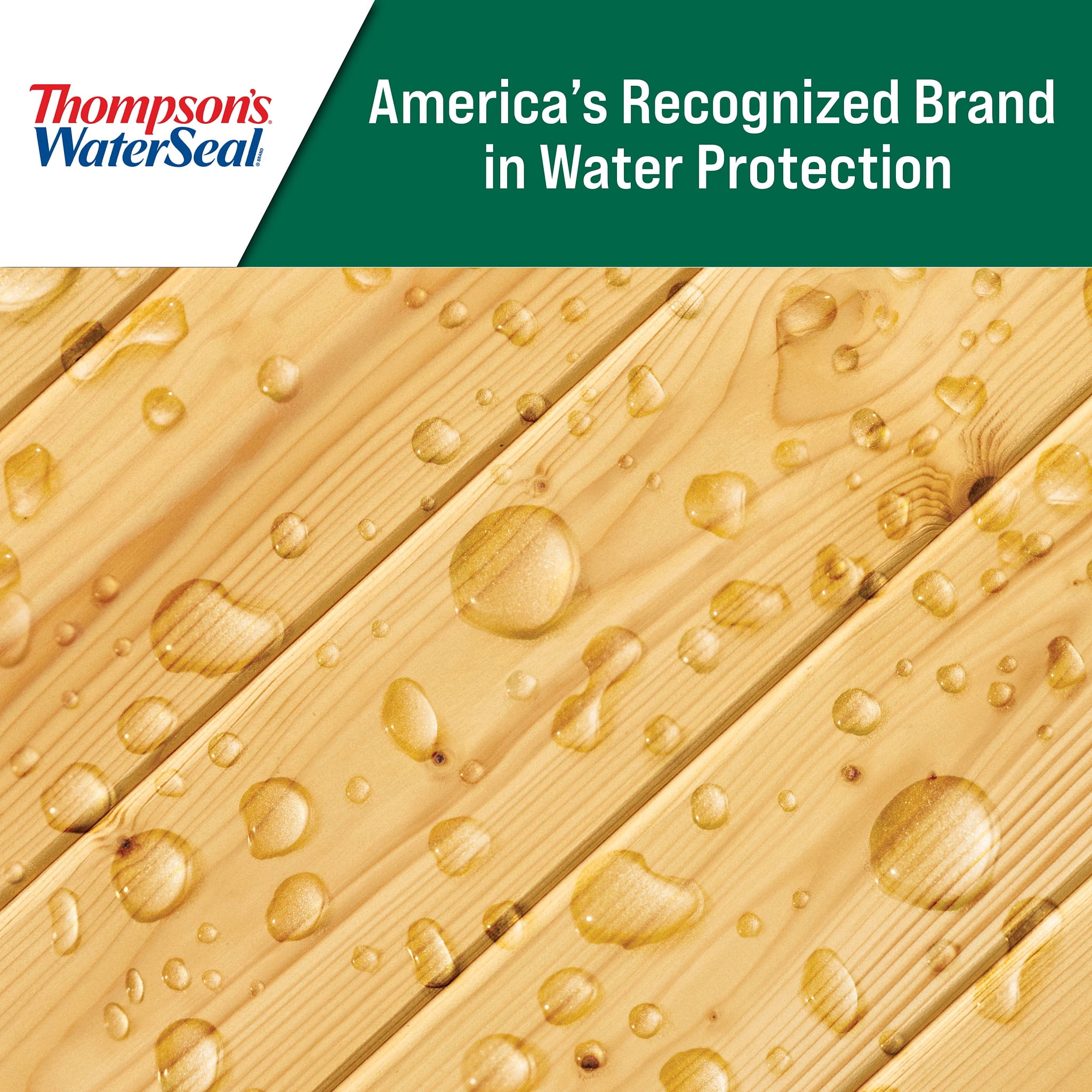 Thompson's WaterSeal Clear Wood Sealer, Clear, 1 Gallon