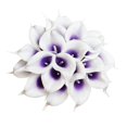 thumbnail image 1 of Flores artificiales DuHouse Calla Lily, 20 unidades (morado y blanco), 1 of 6