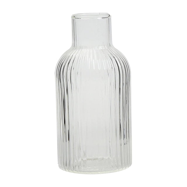 GROWTH TANK Glass Bud Vase Modern Handcraft Retro Home Decor for Office Gift Party D