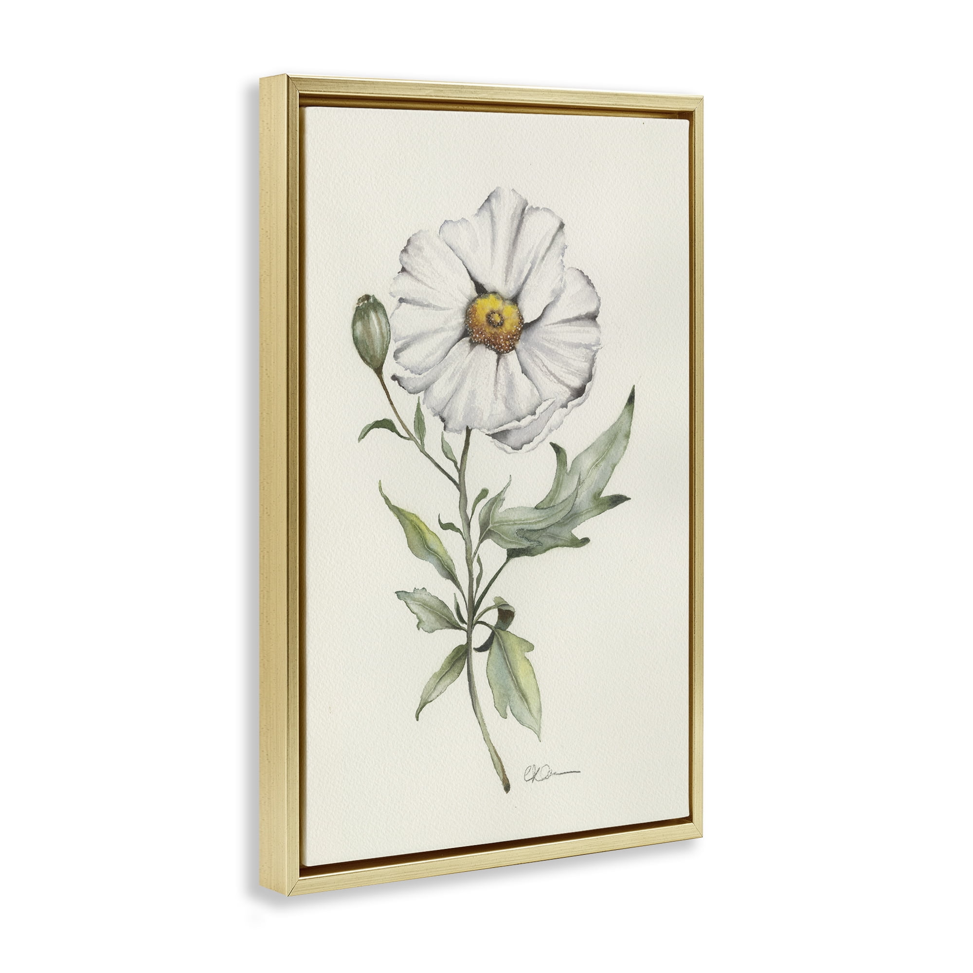 Stupell Industries Natural Wild Blossom Sprig Gold Framed Floater Canvas Wall Art, design by Cady Driver