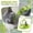 Green, variant on Moonsky 14.9inch Calming Collar for Cats for Anxiety Relief and Stress Reduction with Soothing Pheromone Technology, Pink M