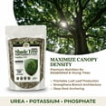 thumbnail image 4 of Old Cobblers Farm™ Shade Tree Food - Premium Fertilizer - Promotes Strong Vertical Growth and Broad Canopy Structure for Landscape Trees (15 lbs), 4 of 12