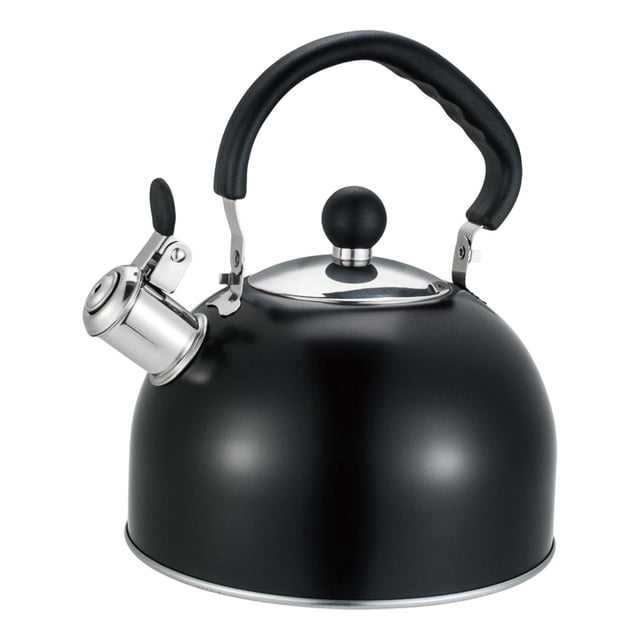 Tetera moderna con silbato fuerte y asa plegable para cocina. Negro