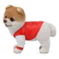 thumbnail image 4 of Ebros Gym Boo The World's Cutest Pomeranian Dog Statue Pet Pal Dogs Collectible, 4 of 8