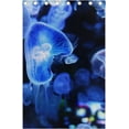 thumbnail image 5 of Coolnut Beautiful Jellyfish Thermal Insulated Blackout Grommet Printed Window Curtain - 84x55 in - 100% Polyester 2 Panels, Stitchingstyles, 5 of 6